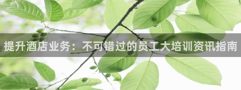 英国威廉希尔公司|提升酒店业务：不可错过的员工大培训资讯指南